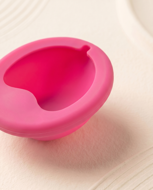 TheXOXO Active™ disk + sterilizator