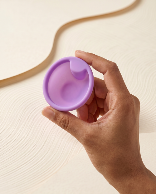 TheXOXO Balance™ disk + sterilizator