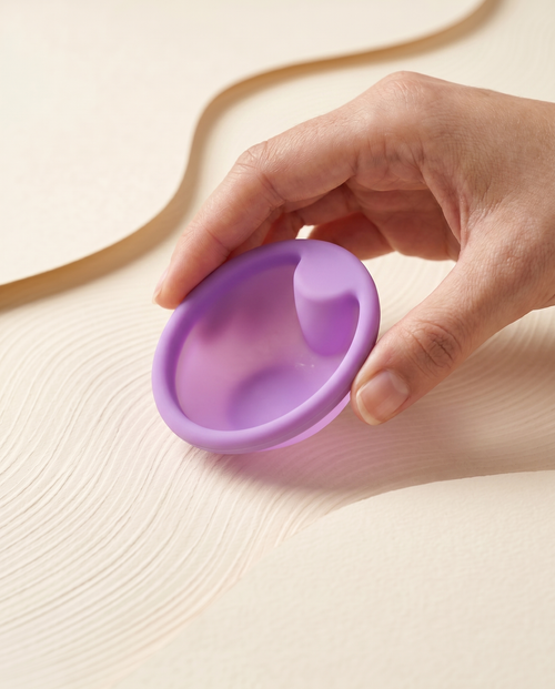 TheXOXO Balance™ disk + sterilizator